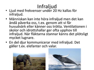 Infraljud
• Ljud med frekvenser under 20 Hz kallas för
infraljud.
• Människan kan inte höra infraljud men det kan
ändå påverka oss, t.ex. genom att vi får
huvudvärk eller känner oss trötta. Ventilationen i
skolor och idrottshallar ger ofta upphov till
infraljud. När fläktarna stannar känns det plötsligt
mycket lugnare.
• En del djur kommunicerar med infraljud. Det
gäller t.ex. elefanter och valar.
 