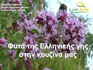 Γεωργίου Ουρανία
Τομέας Βιολογίας Φυτών
Πανεπιστήμιο Πατρών




     Φυτά της Ελληνικής γης
       στην κουζίνα μας
 
