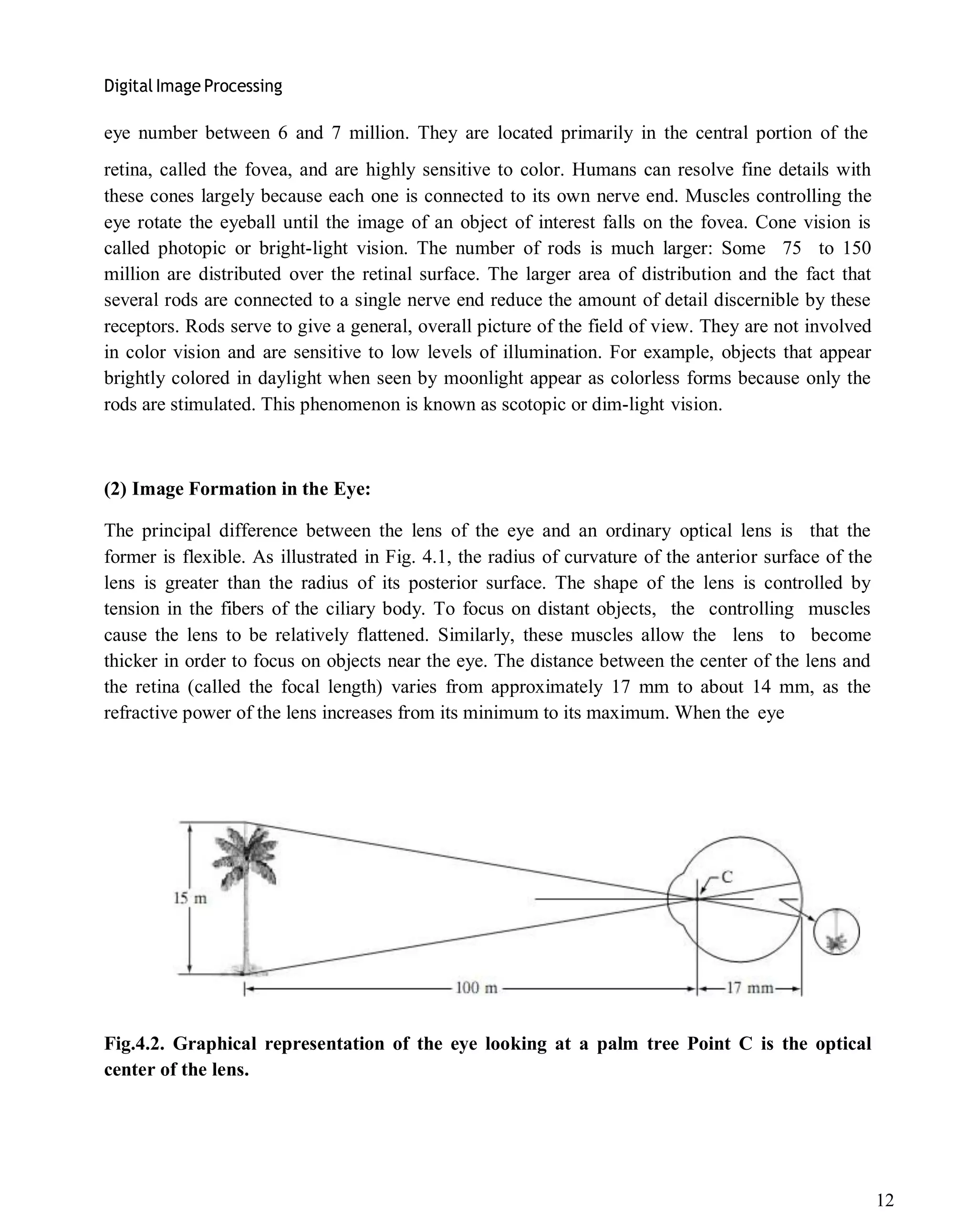 Digital Image Processing
12
eye number between 6 and 7 million. They are located primarily in the central portion of the
retina, called the fovea, and are highly sensitive to color. Humans can resolve fine details with
these cones largely because each one is connected to its own nerve end. Muscles controlling the
eye rotate the eyeball until the image of an object of interest falls on the fovea. Cone vision is
called photopic or bright-light vision. The number of rods is much larger: Some 75 to 150
million are distributed over the retinal surface. The larger area of distribution and the fact that
several rods are connected to a single nerve end reduce the amount of detail discernible by these
receptors. Rods serve to give a general, overall picture of the field of view. They are not involved
in color vision and are sensitive to low levels of illumination. For example, objects that appear
brightly colored in daylight when seen by moonlight appear as colorless forms because only the
rods are stimulated. This phenomenon is known as scotopic or dim-light vision.
(2) Image Formation in the Eye:
The principal difference between the lens of the eye and an ordinary optical lens is that the
former is flexible. As illustrated in Fig. 4.1, the radius of curvature of the anterior surface of the
lens is greater than the radius of its posterior surface. The shape of the lens is controlled by
tension in the fibers of the ciliary body. To focus on distant objects, the controlling muscles
cause the lens to be relatively flattened. Similarly, these muscles allow the lens to become
thicker in order to focus on objects near the eye. The distance between the center of the lens and
the retina (called the focal length) varies from approximately 17 mm to about 14 mm, as the
refractive power of the lens increases from its minimum to its maximum. When the eye
Fig.4.2. Graphical representation of the eye looking at a palm tree Point C is the optical
center of the lens.
 
