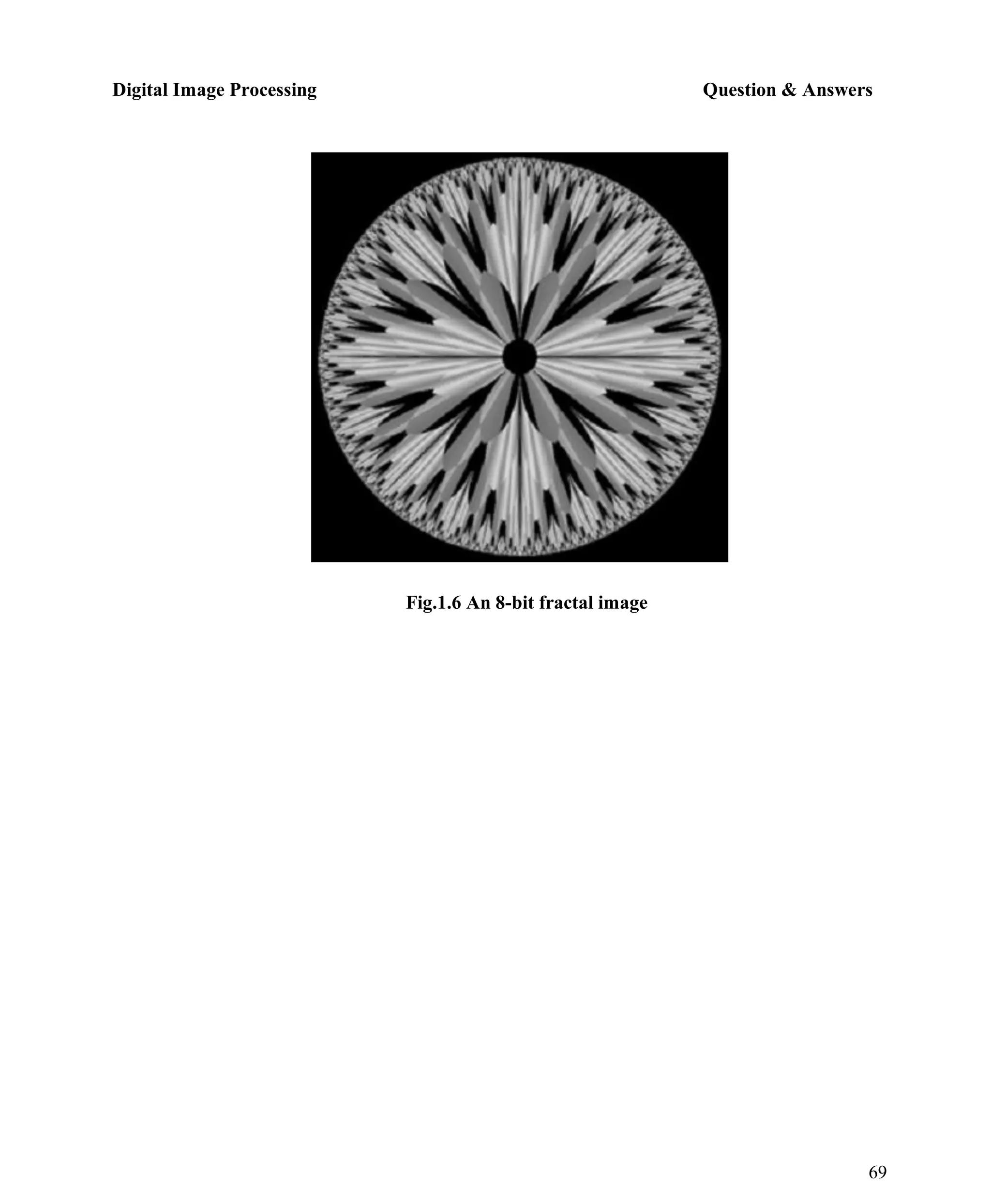 Digital Image Processing Question & Answers
69
Fig.1.6 An 8-bit fractal image
 