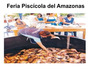 Feria Piscícola del Amazonas