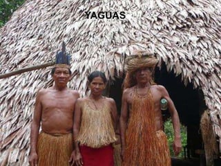 YAGUAS