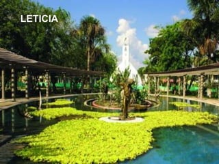 LETICIALETICIA