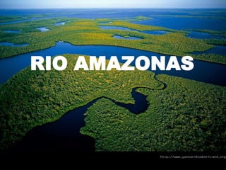 RIO AMAZONAS