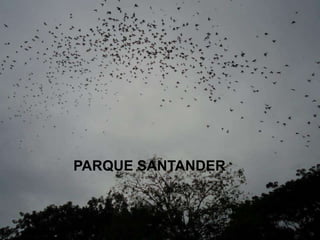 PARQUE SANTANDER