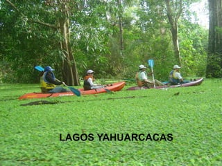 LAGOS YAHUARCACAS
