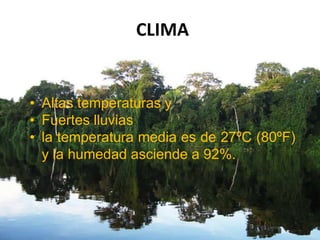 CLIMA
• Altas temperaturas y
• Fuertes lluvias
• la temperatura media es de 27ºC (80ºF)
y la humedad asciende a 92%.