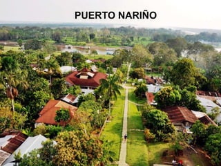 PUERTO NARIÑO