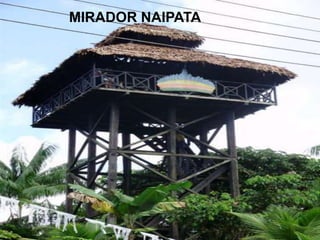 MIRADOR NAIPATA