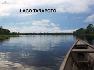 LAGO TARAPOTO