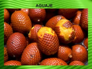 AGUAJE