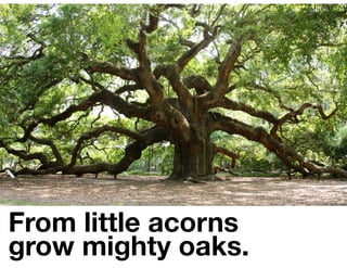 From little acorns
grow mighty oaks.
 
