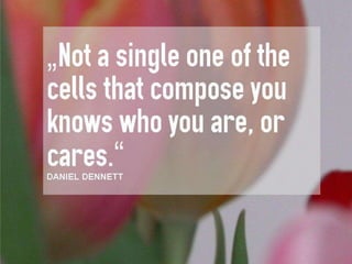 When patterns are broken by Flow_Zone