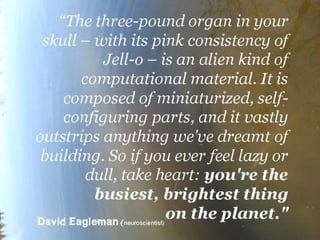 When patterns are broken by Flow_Zone