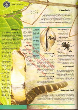 موسوعة غينس للارقام القياسيه 1