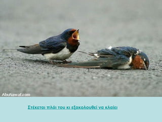 Στέκεται πλάι του κι εξακολουθεί να κλαίει   