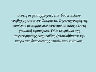 Αυτές οι φωτογραφίες των δύο πουλιών τραβήχτηκαν στην Ουκρανία. Ο φωτογράφος τις πούλησε με συμβολικό αντίτιμο σε πασίγνωστη γαλλική εφημερίδα. Όλα τα φύλλα της συγκεκριμένης εφημερίδας ξεπουλήθηκαν την ημέρα της δημοσίευσης αυτών των εικόνων .  