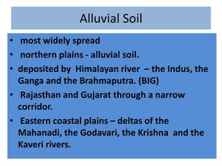 Alluvial Soil
• most widely spread
• northern plains - alluvial soil.
• deposited by Himalayan river – the Indus, the
Ganga and the Brahmaputra. (BIG)
• Rajasthan and Gujarat through a narrow
corridor.
• Eastern coastal plains – deltas of the
Mahanadi, the Godavari, the Krishna and the
Kaveri rivers.
 