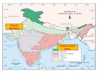Gujarat,
Rajasthan
Eastern coastal
plains
 