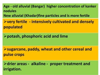 Alluvial Soil
Age - old alluvial (Bangar) higher concentration of kanker
nodules
New alluvial (Khadar)fine particles and is more fertile
very fertile - intensively cultivated and densely
populated
potash, phosphoric acid and lime
sugarcane, paddy, wheat and other cereal and
pulse crops
drier areas - alkaline - proper treatment and
irrigation.
 
