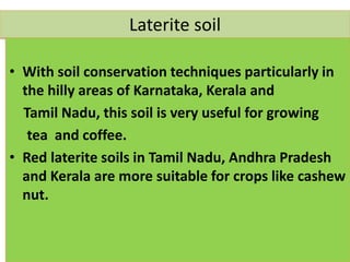 Laterite soil
• With soil conservation techniques particularly in
the hilly areas of Karnataka, Kerala and
Tamil Nadu, this soil is very useful for growing
tea and coffee.
• Red laterite soils in Tamil Nadu, Andhra Pradesh
and Kerala are more suitable for crops like cashew
nut.
 