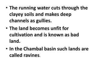 • The running water cuts through the
clayey soils and makes deep
channels as gullies.
• The land becomes unfit for
cultivation and is known as bad
land.
• In the Chambal basin such lands are
called ravines.
 