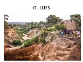 GULLIES
 