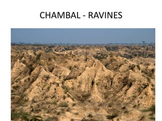 CHAMBAL - RAVINES
 