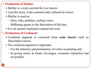 Hat Shellac G-11 BIOLOGY, UNIT 2, ANIMALS (1) (1).pdf