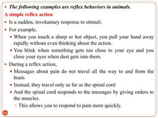 G-11 BIOLOGY, UNIT 2, ANIMALS (1) (1).pdf