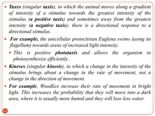 G-11 BIOLOGY, UNIT 2, ANIMALS (1) (1).pdf