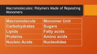 Macromolecules: Polymers Made of Repeating
Monomers
Macromolecule Monomer Unit
Carbohydrates Sugars
Lipids Fatty acids
Proteins Amino acids
Nucleic Acids Nucleotides
 