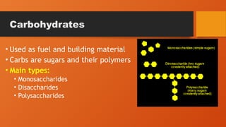 • Used as fuel and building material
• Carbs are sugars and their polymers
• Main types:
• Monosaccharides
• Disaccharides
• Polysaccharides
Carbohydrates
 