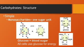 Carbohydrates: Structure
•Simple
• Monosaccharides= one sugar unit
Glucose = blood sugar
All cells use glucose for energy
 