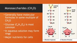 Monosaccharides (CH2O)
• Generally have molecular
formulas in some multiple of
CH2O
• Glucose (C6H12O6) is most
common
• In aqueous solution may form
rings
• Major nutrients for cells
 
