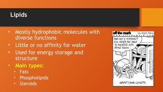 Lipids
• Mostly hydrophobic molecules with
diverse functions
• Little or no affinity for water
• Used for energy storage and
structure
• Main types:
• Fats
• Phospholipids
• Steroids
 