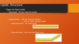 Lipids: Structure
• Types of Fatty Acids
• Saturated – 2H per internal carbon
• Unsaturated -- <2H per internal carbon
one or more double bonds
• Monounsaturated – one double bond
• Polyunsaturated – more than one double bond
 