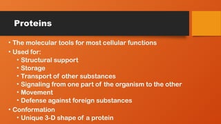 Proteins
• The molecular tools for most cellular functions
• Used for:
• Structural support
• Storage
• Transport of other substances
• Signaling from one part of the organism to the other
• Movement
• Defense against foreign substances
• Conformation
• Unique 3-D shape of a protein
 