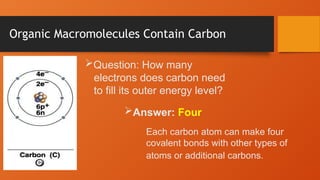 Organic Macromolecules Contain Carbon
Each carbon atom can make four
covalent bonds with other types of
atoms or additional carbons.
Question: How many
electrons does carbon need
to fill its outer energy level?
Answer: Four
 