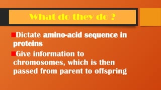 What do they do ?
Dictate amino-acid sequence in
proteins
Give information to
chromosomes, which is then
passed from parent to offspring
 
