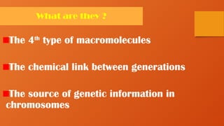 What are they ?
The 4th
type of macromolecules
The chemical link between generations
The source of genetic information in
chromosomes
 