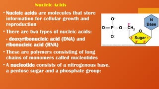 Nucleic Acids
• Nucleic acids are molecules that store
information for cellular growth and
reproduction
• There are two types of nucleic acids:
- deoxyribonucleic acid (DNA) and
ribonucleic acid (RNA)
• These are polymers consisting of long
chains of monomers called nucleotides
• A nucleotide consists of a nitrogenous base,
a pentose sugar and a phosphate group:
 