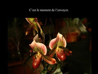 C’est le moment de l’envoyer.

 