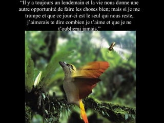 “Il y a toujours un lendemain et la vie nous donne une
autre opportunité de faire les choses bien; mais si je me
trompe et que ce jour-ci est le seul qui nous reste,
j’aimerais te dire combien je t’aime et que je ne
t’oublierai jamais.”

 