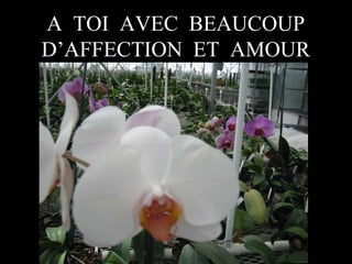 A TOI AVEC BEAUCOUP
D’AFFECTION ET AMOUR

 