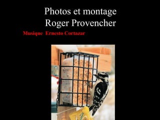 Photos et montage
Roger Provencher
Musique Ernesto Cortazar

 