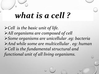CELLS- The basic unit of life | PPTX