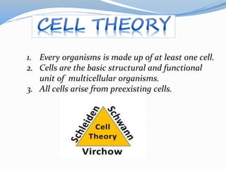 CELLS- The basic unit of life | PPTX