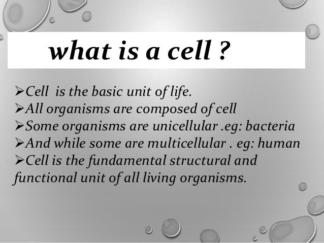 basic unit of life
