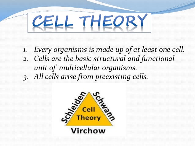 cell the unit of life Ncert chapter eleven biology cell biology description of prokaryotic cells chapter cell is called the fundamental structural and functional unit of life cell. cell the unit of life Ncert chapter eleven biology cell biology description of prokaryotic cells chapter cell is called the fundamental structural and functional unit of life cell.